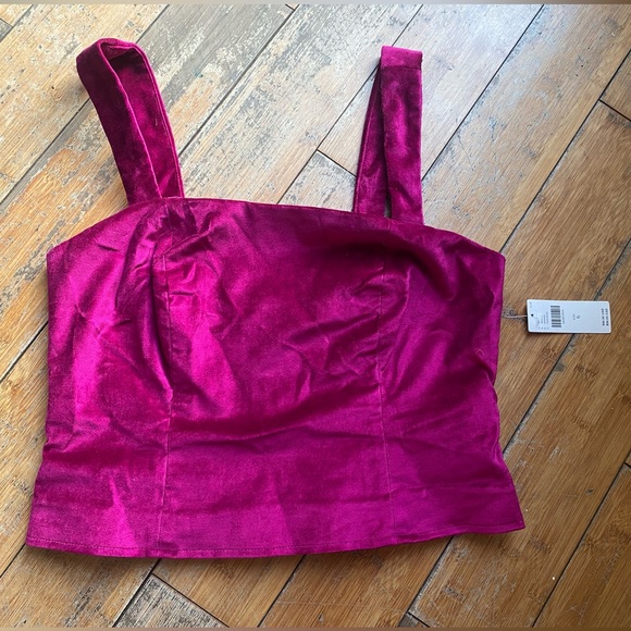 Hot Pink Velour Anthropology Crop Top - Picture 1 of 2